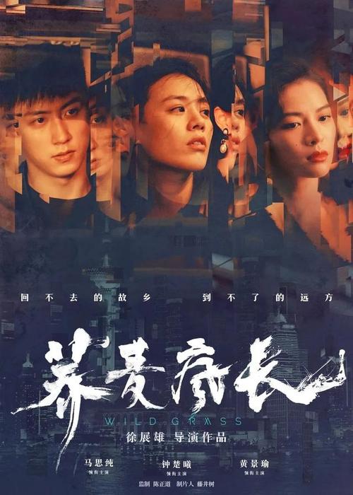 仿制加州州立大学毕业证